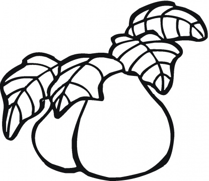 415x360 Guava Coloring Pages Guavas Coloring Pages To Kids Color Udin