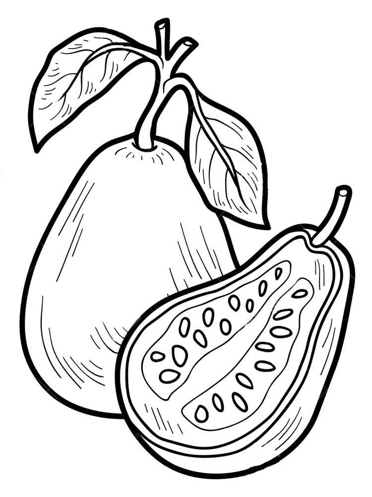 750x1000 Guava Coloring Pages. Download And Print Guava Coloring Pages.