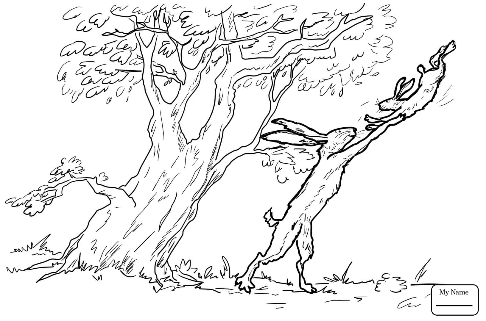 Stories Tales And I Love You All The Way Up To Your Toes Guess How 1632x1079 Stories Tales And I Love You All The Way Up To Your Toes Guess How