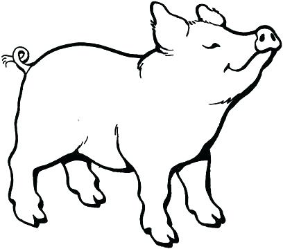 408x360 Guinea Pig Coloring Page Guinea Pig Coloring Pages Free Guinea Pig