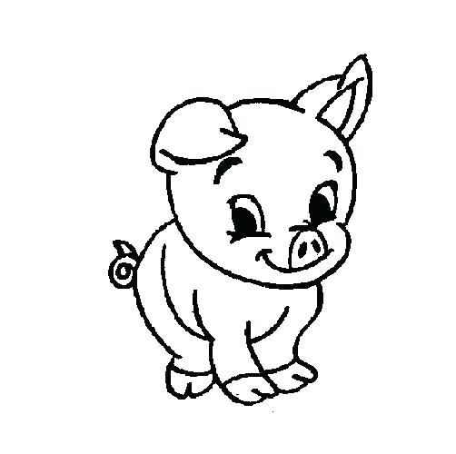 502x500 Guinea Pig Coloring Pages Also Pin Drawn Guinea Pig Color 5 Guinea