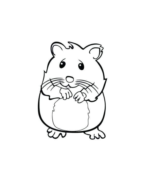 600x776 Guinea Pig Coloring Pages As Inspiring Guinea Pig Coloring Page