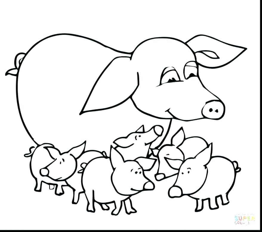 878x778 Guinea Pig Coloring Pages Free Printable Baby Spectacular Mother