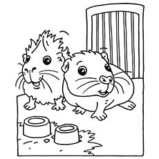 230x230 Top 25 Free Printable Guinea Pig Coloring Pages Online Animal
