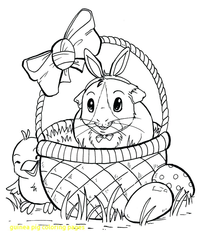 809x986 Coloring Page ~ Guinea Pig Coloring Page Pages With Pigs Colouring