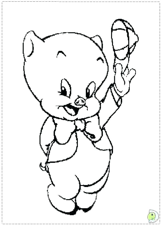 691x960 Cool Guinea Pig Coloring Pages Free Pig Coloring Pages Free Pig