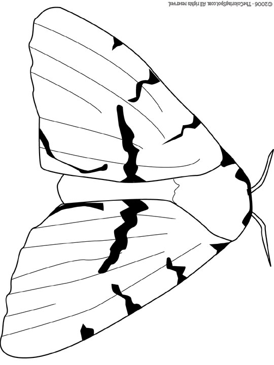 540x720 Gypsy Moth Audio Stories For Kids Amp Free Coloring Pages