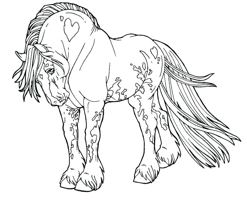 863x716 Realistic Wolf Coloring Pages Coloring Pages Gypsy Drawings Free