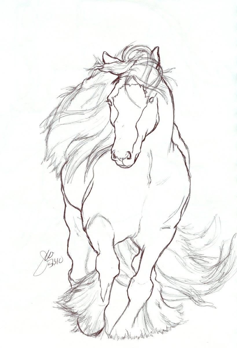 819x1200 Horse Drawings Off In The Form Of A Gypsy Vanner My First