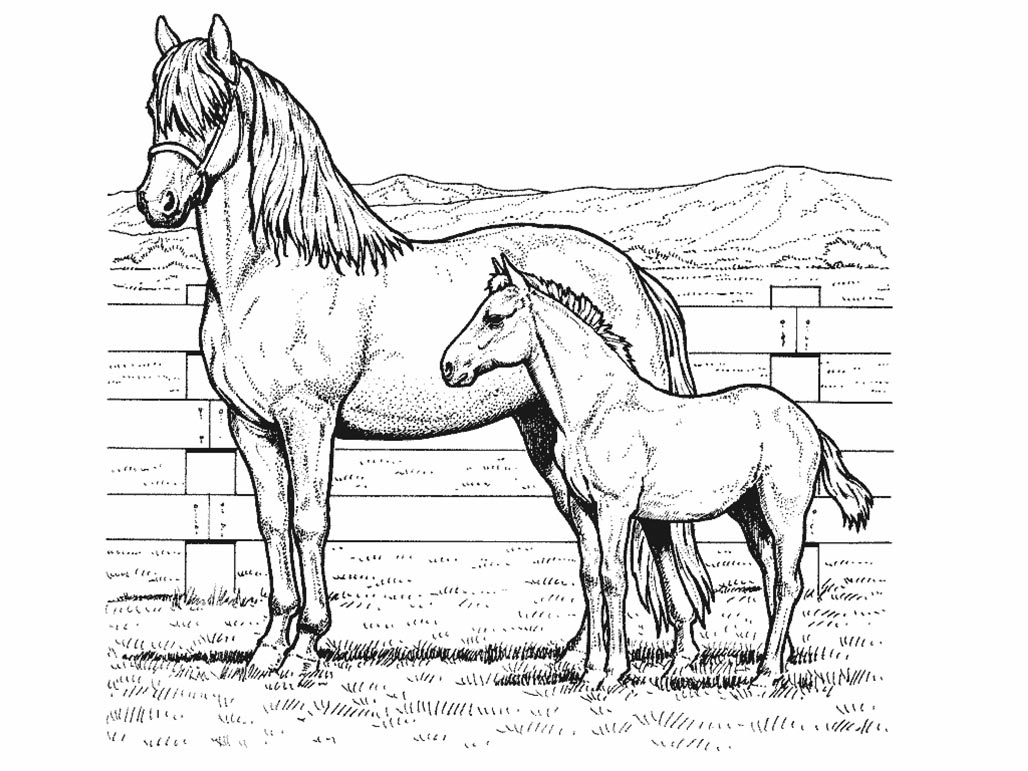 1028x771 Fresh Horse Coloring Pages For Kids6 Free Coloring Pages Download