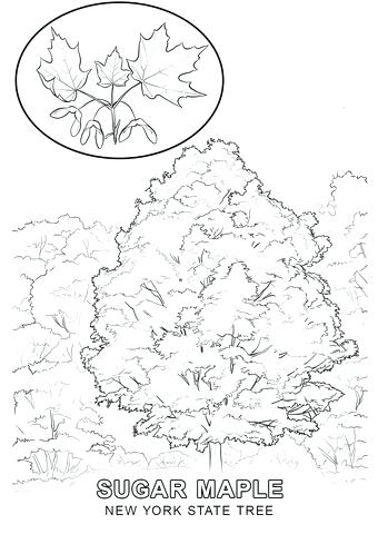 New York Flag Coloring Page 340x480 New York Flag Coloring Page