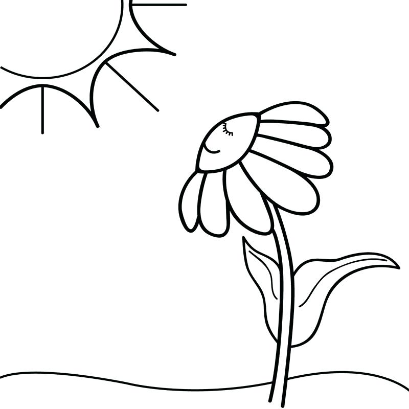 Half Moon Coloring Page Sun And Moon Coloring Pages For Adults 800x800 Half Moon Coloring Page Sun And Moon Coloring Pages For Adults