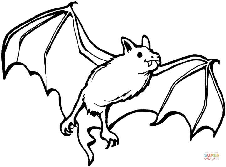720x533 Cute Bat Coloring Pages Bat Halloween Coloring Pages Bats Coloring