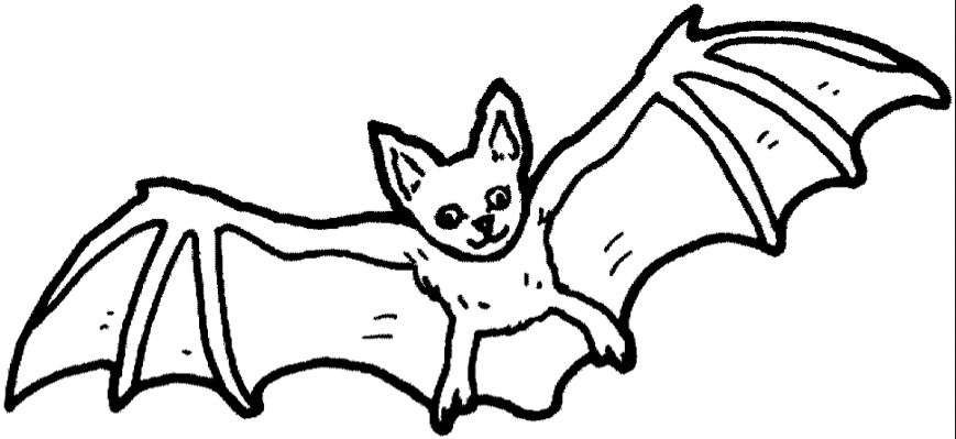 869x399 Bat Halloween Coloring Pages Bat Coloring Book Free