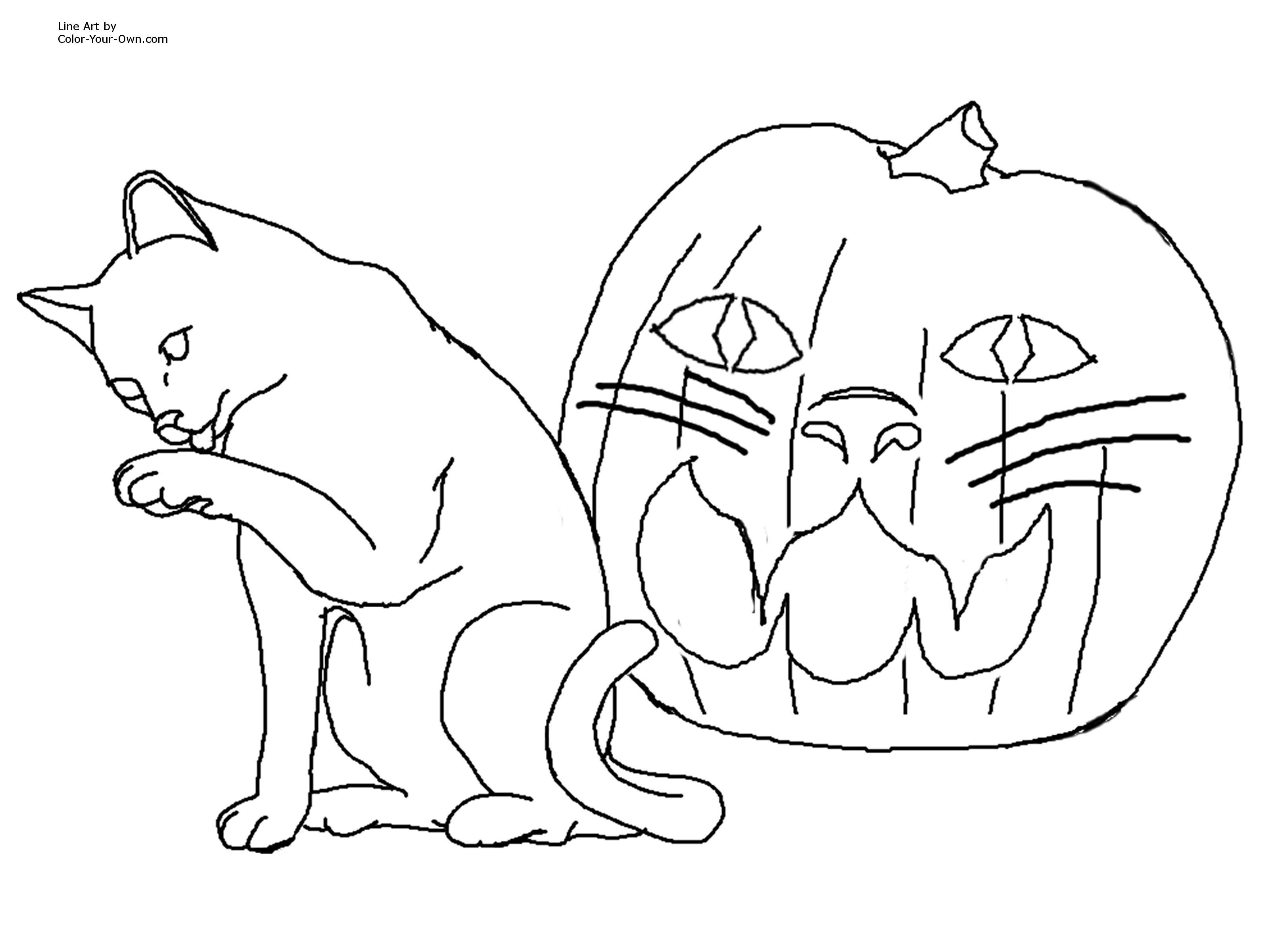 3232x2400 Gigantic Scary Black Cat Coloring Pages Halloween Page Free