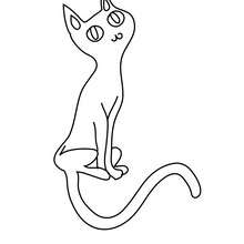 220x220 Black Cats Coloring Pages