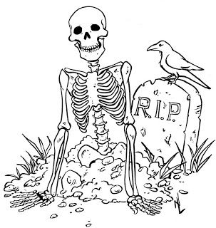303x320 Perhaps Best Suited To Older Children And Teens. Skeleton, Crow