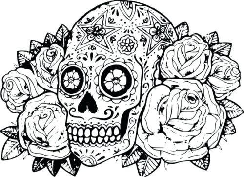 500x362 Preschool Coloring Pages Animals Monkey Color Page Printable Skull