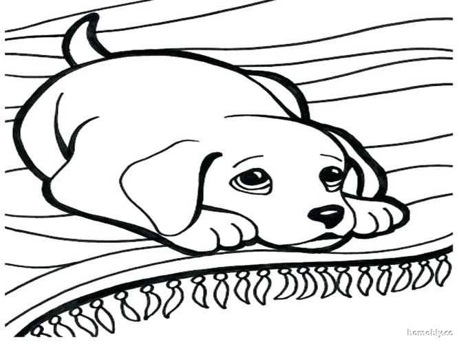 667x500 Clifford The Big Red Dog Coloring Pages Clifford The Big Red Dog