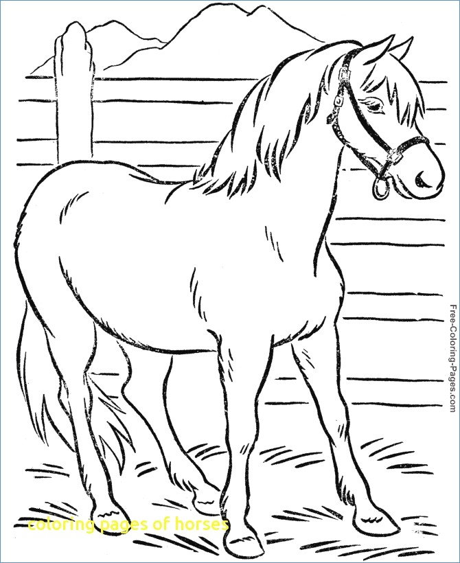 670x820 Beautiful Horse Coloring Page