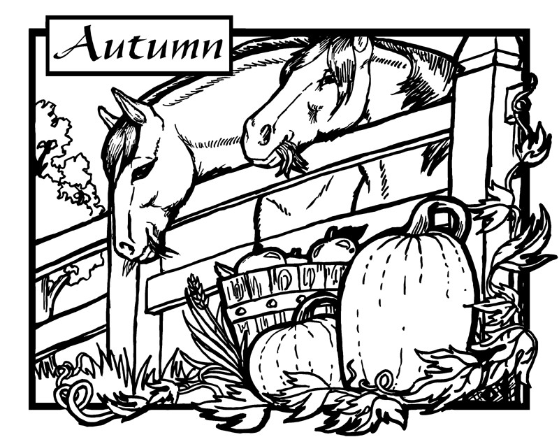 800x635 True Blue's World