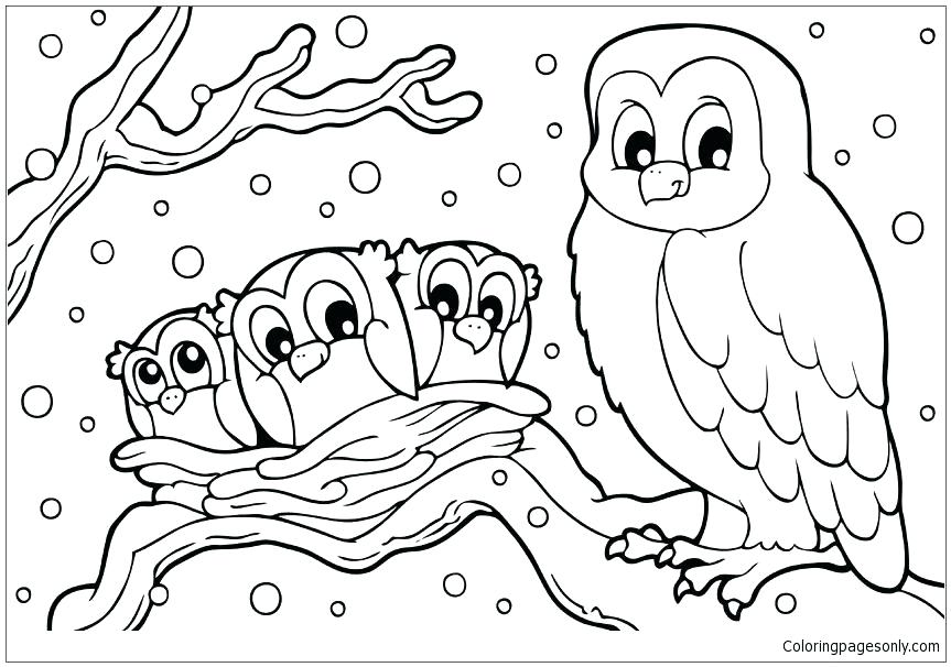 863x606 Buho De Halloween Para Colorear Para Winter Snowy Owl Coloring