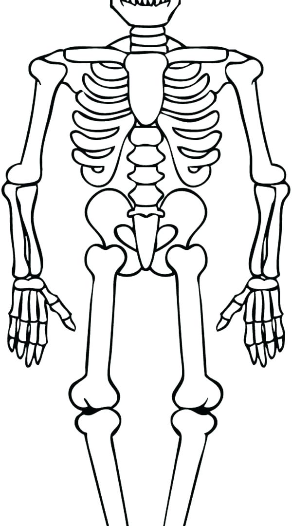 600x1080 Halloween Skeleton Coloring Pages Skeleton Coloring Pages To Print