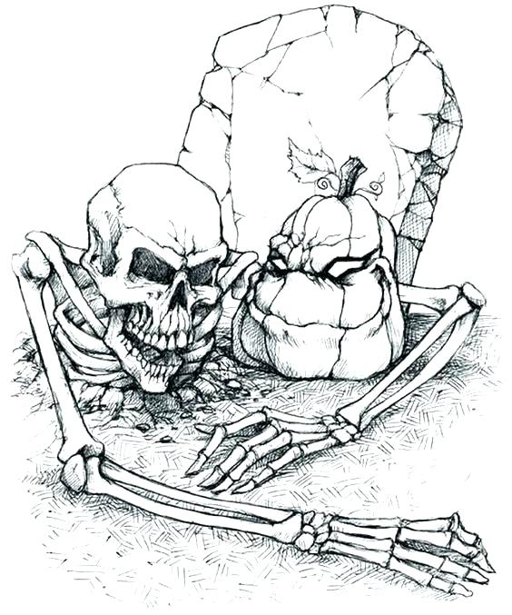 564x677 Halloween Skeleton Coloring Pages Skeleton Coloring Skeleton