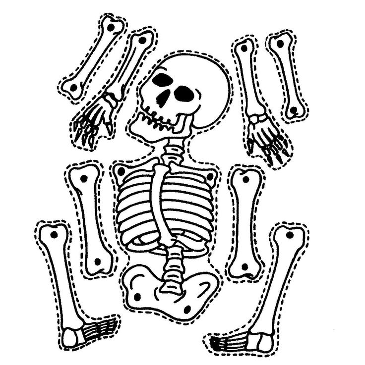 736x737 Halloween Skeleton Printable Printable Skeleton Craft Coloring