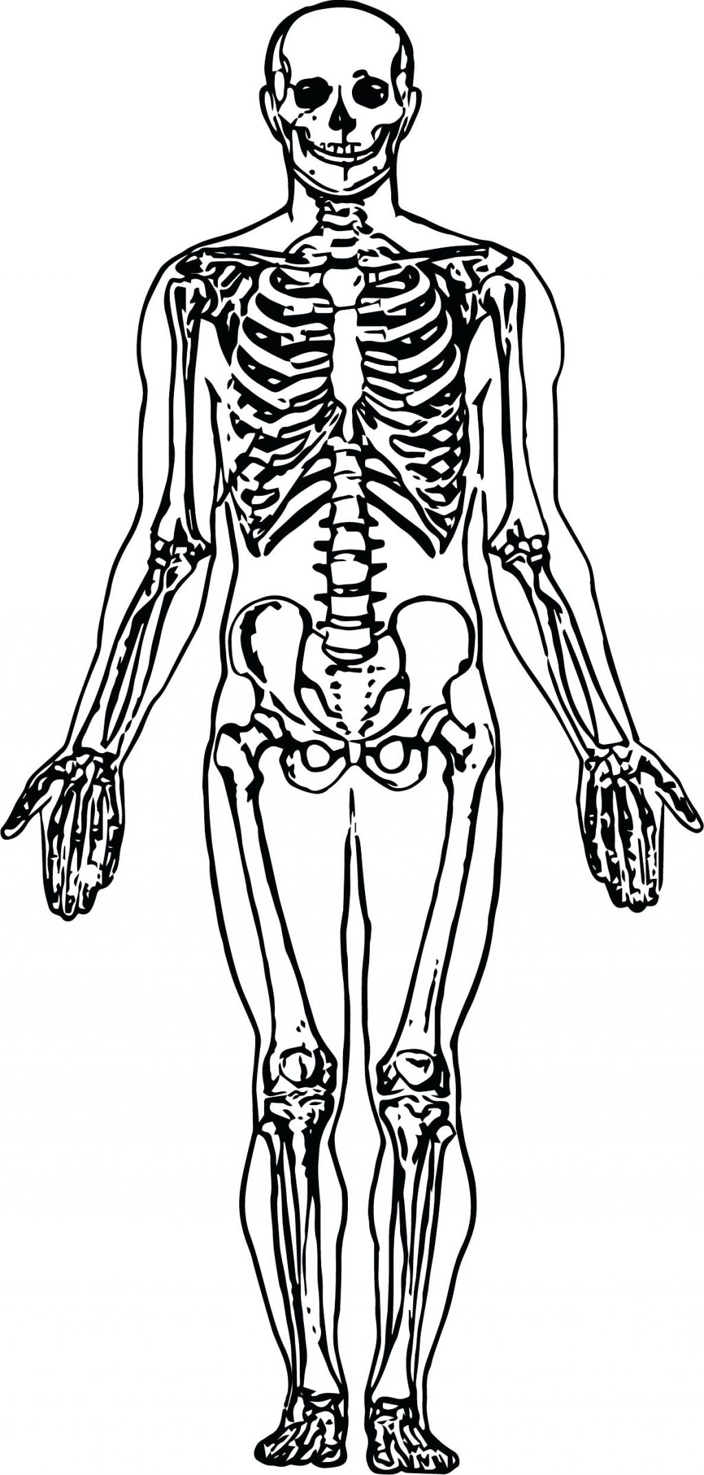 1024x2145 Coloring Pages ~ Skeleton Coloring Pages Whole Picture Sketch