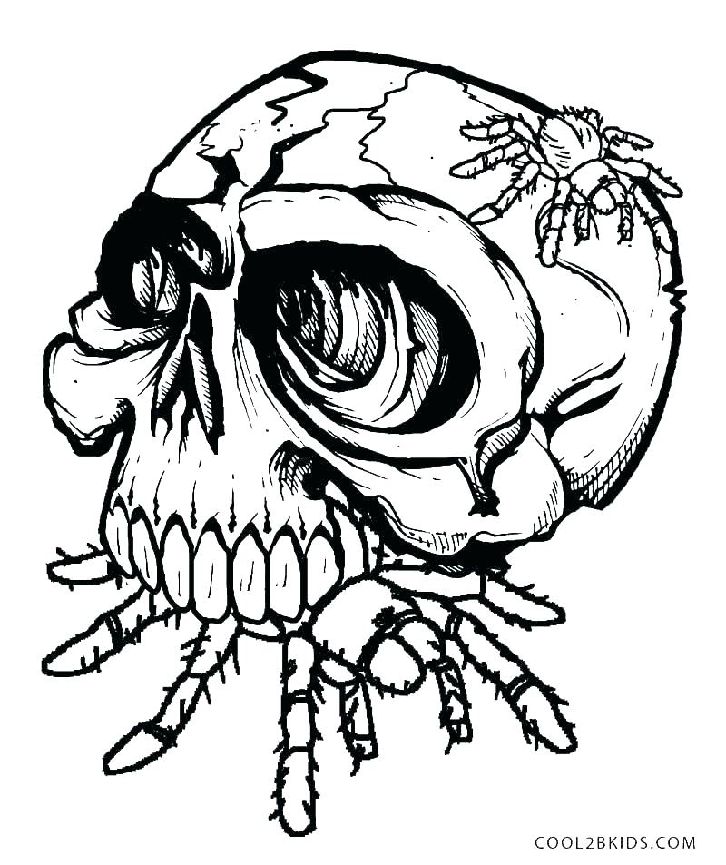 800x953 Skulls Coloring Pages Skull Coloring Pages Anatomy Anatomy