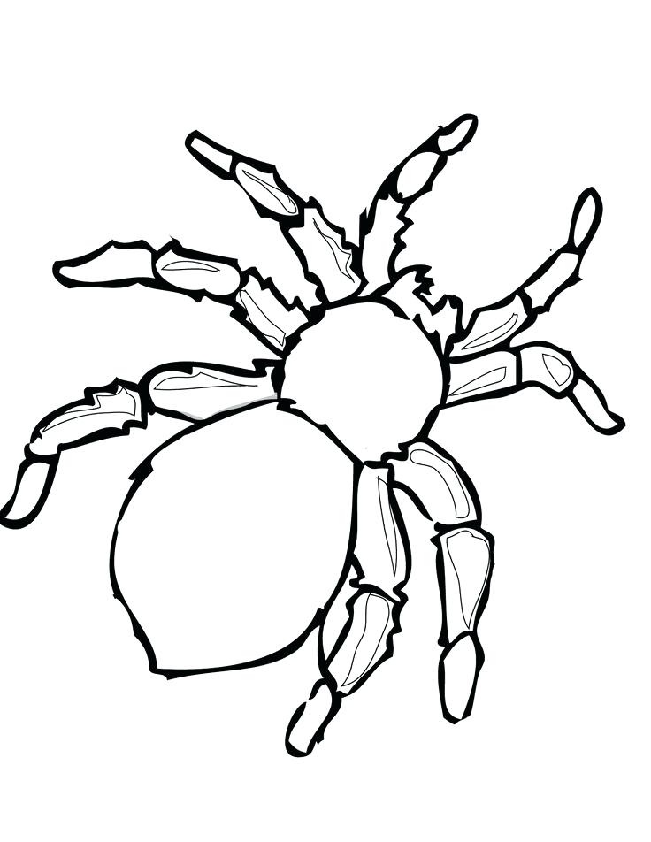 736x952 Halloween Spider Coloring Pages Best Spider Template Ideas Pumpkin
