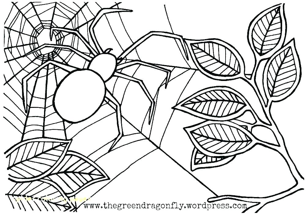 1000x707 Spider Coloring Page S S Halloween Spider Coloring Pages Printable