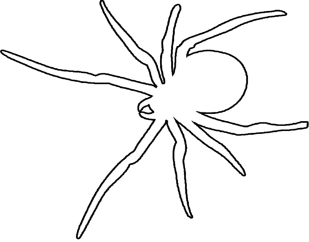 1071x837 Top 78 Spider Coloring Pages