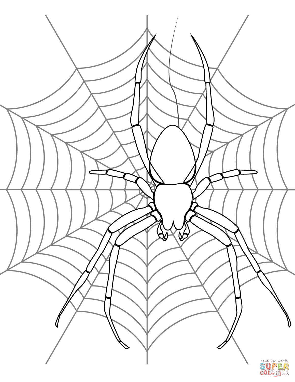 1159x1500 Top Spider Web Coloring Page On Its Free Print