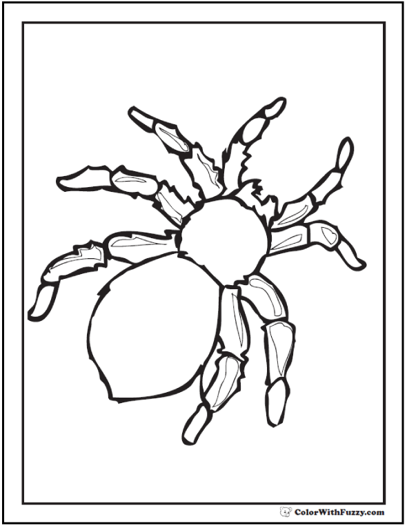 Halloween Spider Coloring Pages Printable