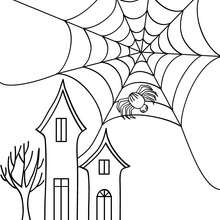 220x220 Spider Coloring Pages