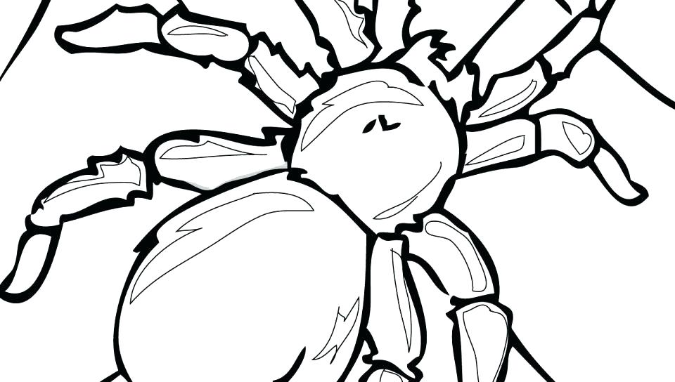 960x544 Spider Coloring Pages Free Printable Spider Coloring Page For Kids