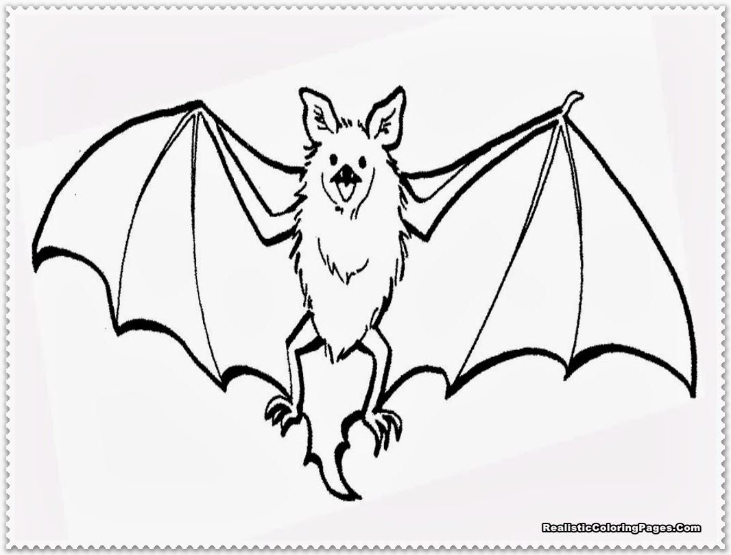 1066x810 Complete Bat Pictures To Color Coloring Page Animals Town Sheet