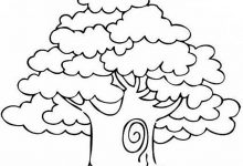 Tree Coloring Coloring Page 220x150 Tree Coloring Coloring Page