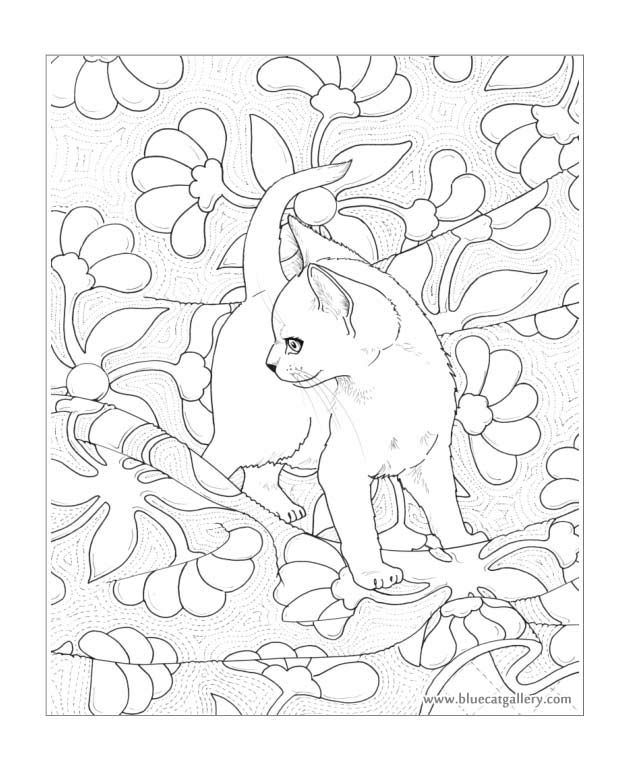 Hamilton Coloring Pages at GetColorings.com | Free printable colorings ...