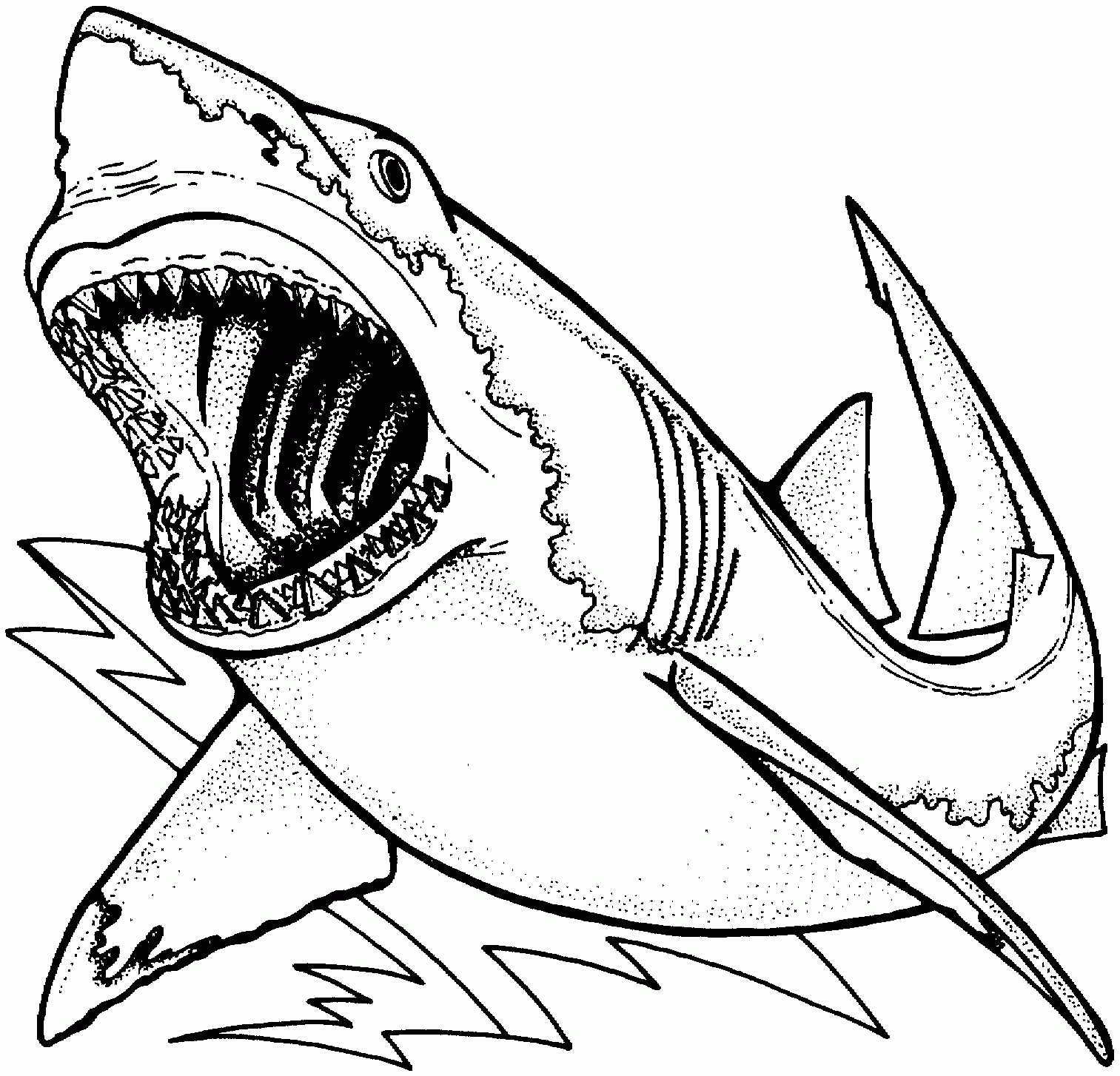 1513x1454 Instructive Hammerhead Shark Coloring Page Pag