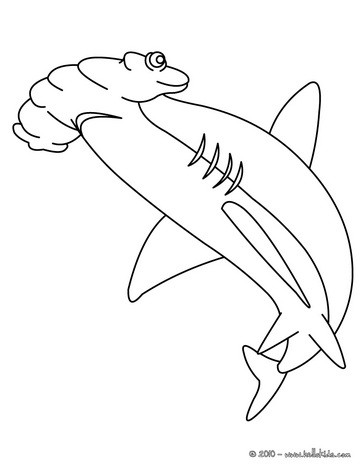 364x470 The Great Hammerhead Shark Coloring Page. Let Your Imagination