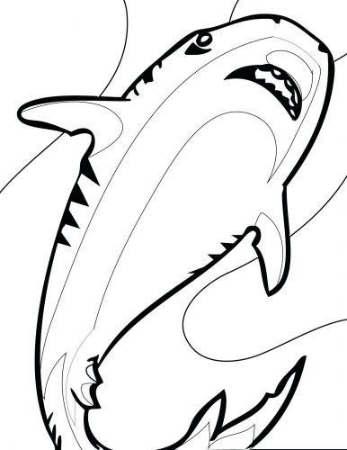 386x500 Coloring Pages ~ Shark Coloring Pages Hammerhead Page Free