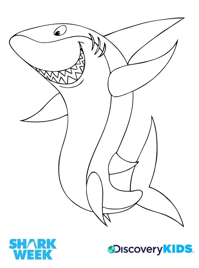660x885 Coloring Pages Shark Activity Happy Shark Coloring Page Print