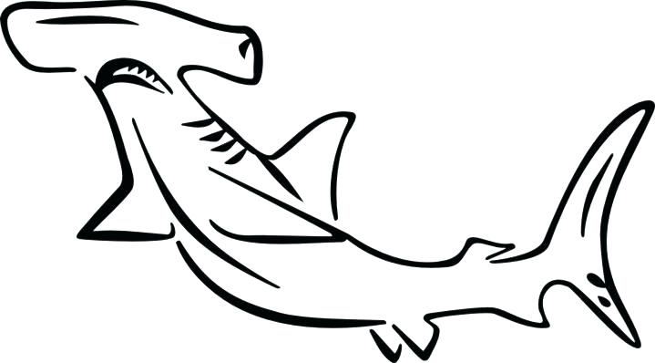 719x398 Coloring Pages Shark Coloring Shark Good Hammerhead Shark Coloring