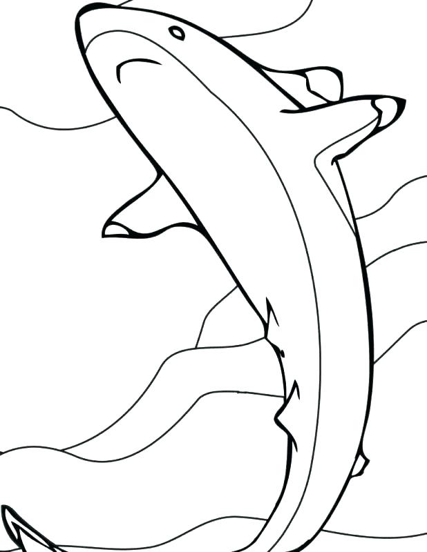 618x800 Hammerhead Shark Coloring Page Hammerhead Shark Coloring Pages