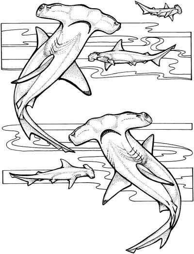400x525 Hammerhead Shark Coloring Page June July Tiburones