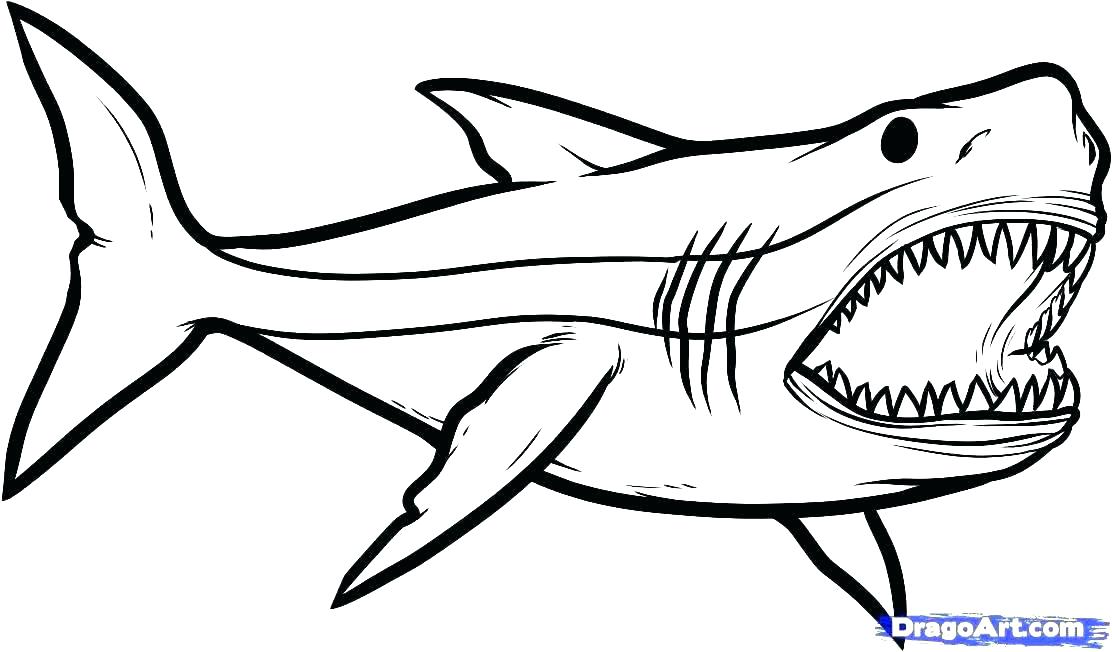 1112x652 Shark Printable Coloring Pages Hammerhead Shark Printable Coloring