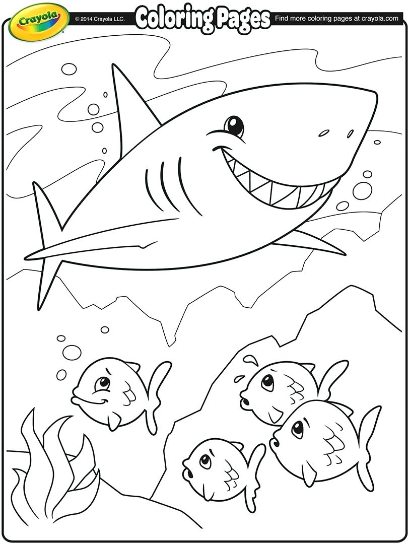 810x1080 Coloring For Kids Pages Of Hammerhead Sharks Free Shark Page